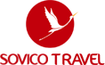 Son Viet Tourism and Trading Investment Consultant Company Limited